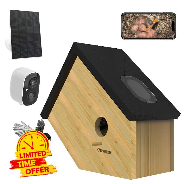 Smart Hummingbird House with Camera Solar Powered