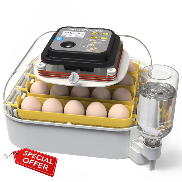 MATICOOPX 20 Egg Incubator with Humidity Display