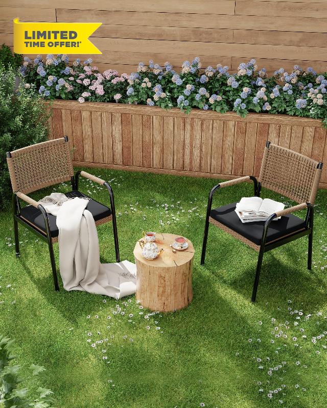 Patio Wicker Chairs Set of 2