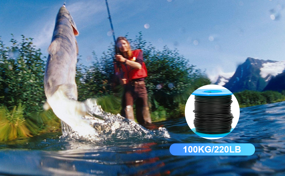 Fish Finder