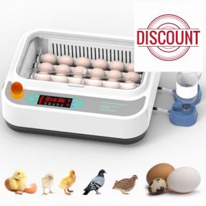 24 Egg Incubators with Automatic Egg Turning and Humidity Control