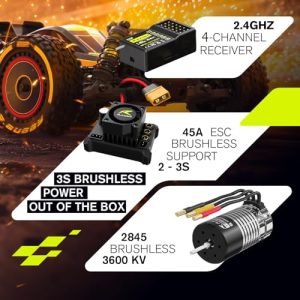 Max 60 MPH Fast RC Buggy