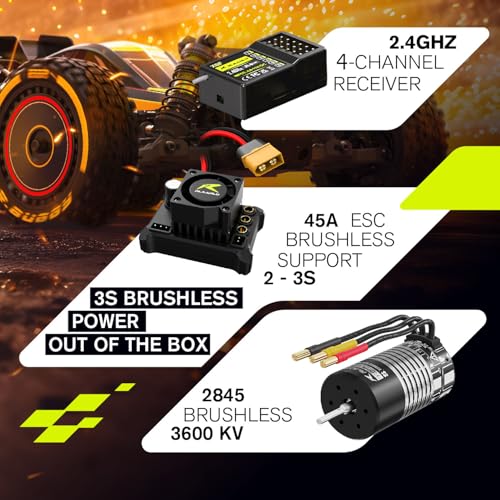Max 60 MPH Fast RC Buggy