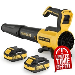 Leaf Blower Cordless with 2× 4.0Ah Batteries and Charger
