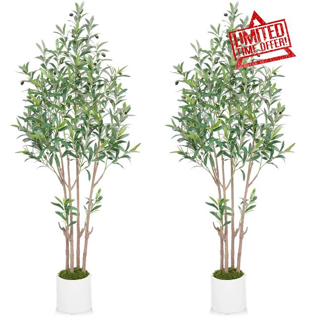2 Artificial Olive Trees