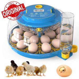 Incubators for Hatching Eggs