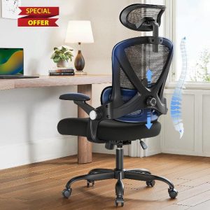 HUANUO Ergonomic Office Chair