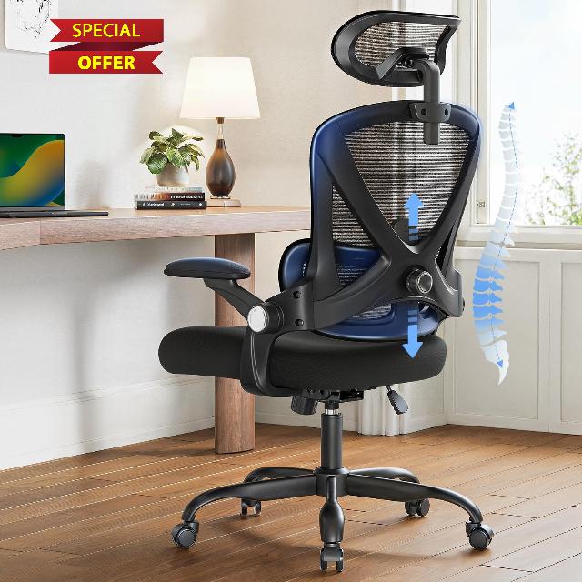 HUANUO Ergonomic Office Chair