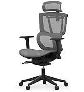 FLEXISPOT BS8 Ergonomic Office Chair, Mesh Desk Chair with 9 Level Adjustable Backrest, Lift Armr...