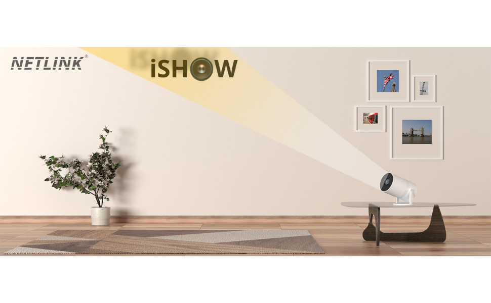 NETLINK ishow projector