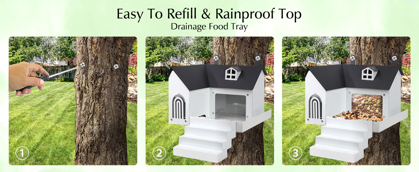 Squirrel feeder