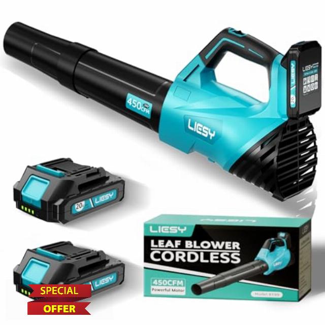 Cordless Leaf Blower with 2×20V Batteries & Charger