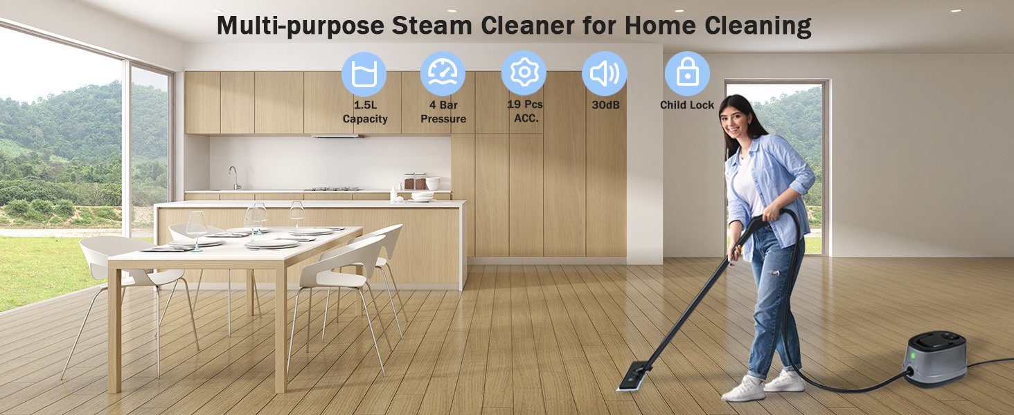 steam cleaner for home