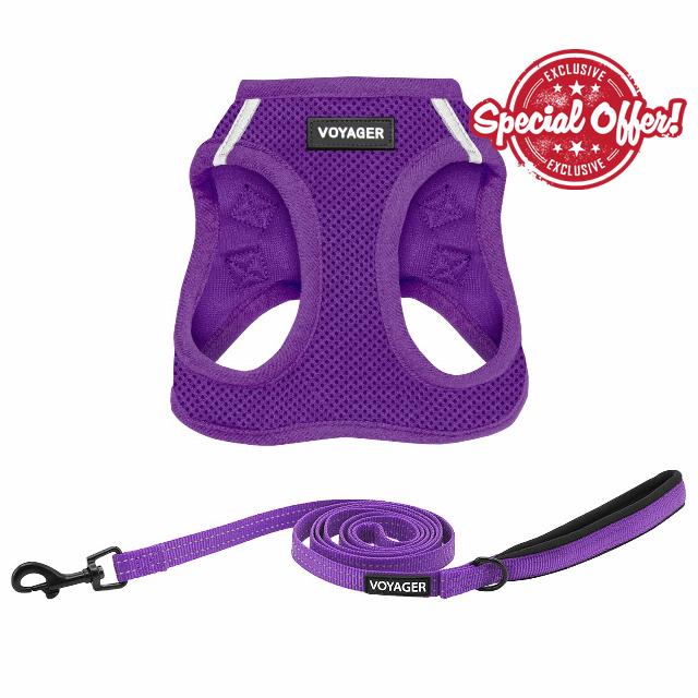 Best Pet Supplies Voyager Step-in Air All Weather Mesh Harness and Reflective Dog 5 ft Leash Combo with Neoprene Handle