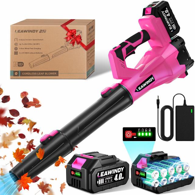 Leaf Blower Cordless 21V