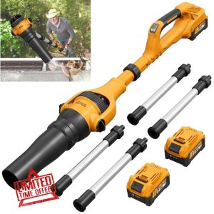 Roof Gutter Cleaning from The Ground