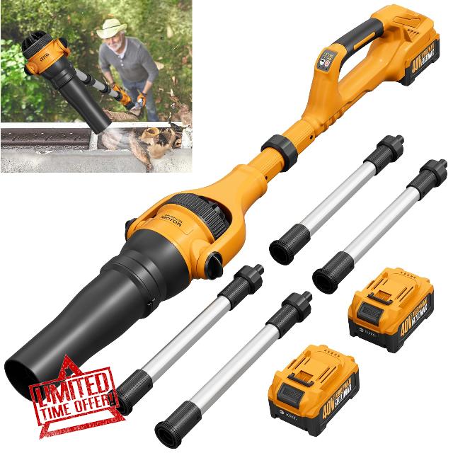 Roof Gutter Cleaning from The Ground