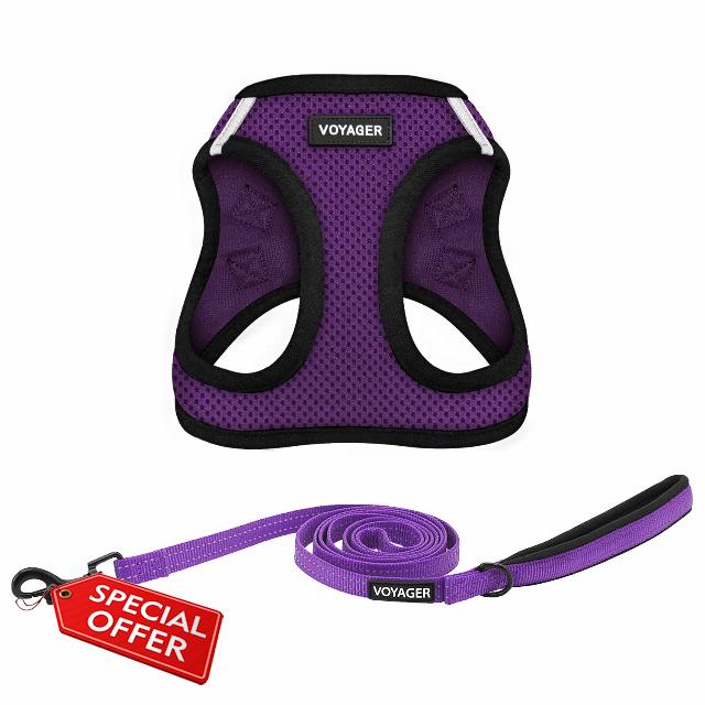 Voyager Step-in Air All Weather Mesh Harness and Reflective Dog 5 ft Leash Combo with Neoprene Handle