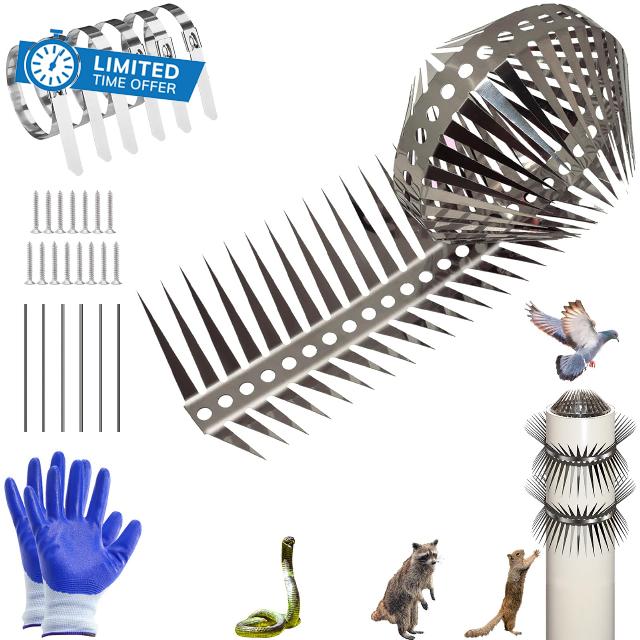 Bird Spikes