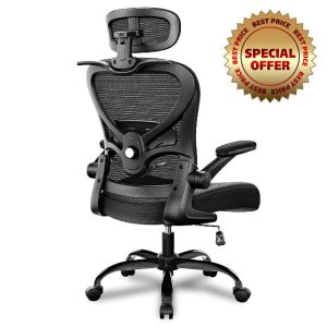 Ergonomic Office Chair with Headrest 3D