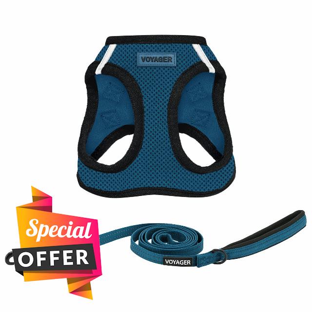 Voyager Step-in Air All Weather Mesh Harness and Reflective Dog 5 ft Leash Combo with Neoprene Handle