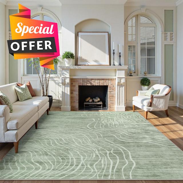 LIVEBOX 8x10 Modern Area Rugs for Living Room