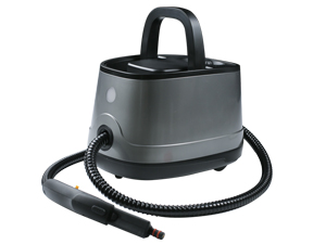 steam cleaner