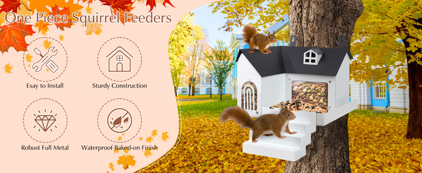squirrel feeder