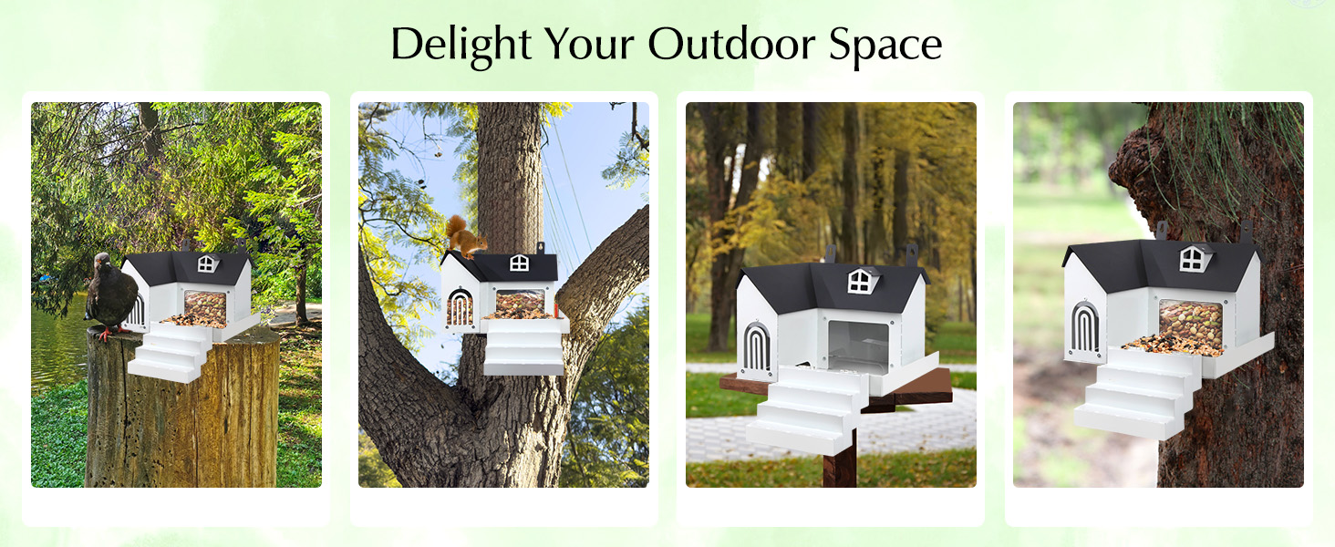 squirrel feeder