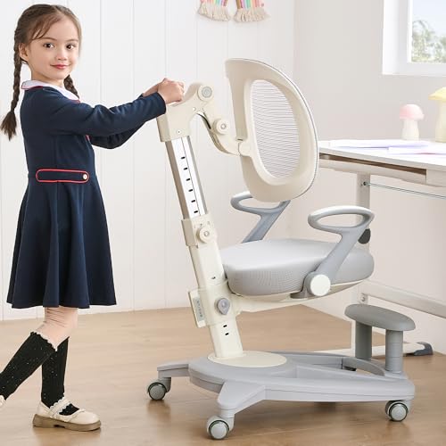 Multifunctional for Study