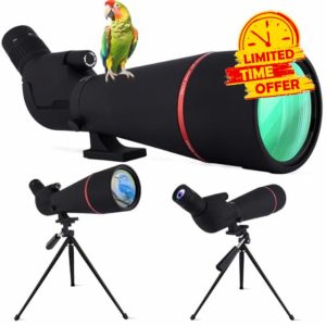 25-75x80 Spotting Scopes with Tripod & Phone Adapter - Spotter Scope with BAK4 Prism
