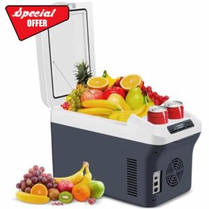 12 Liter/Quart Electric Cooler & Warmer 12v Car Cooler Plug in Portable Car Cooler with AC/DC Mini Fridge for Car/Camping/Travel/Truck