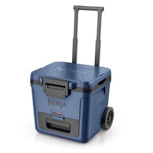 Integrated Fridge-Temp Dry Storage Drawer