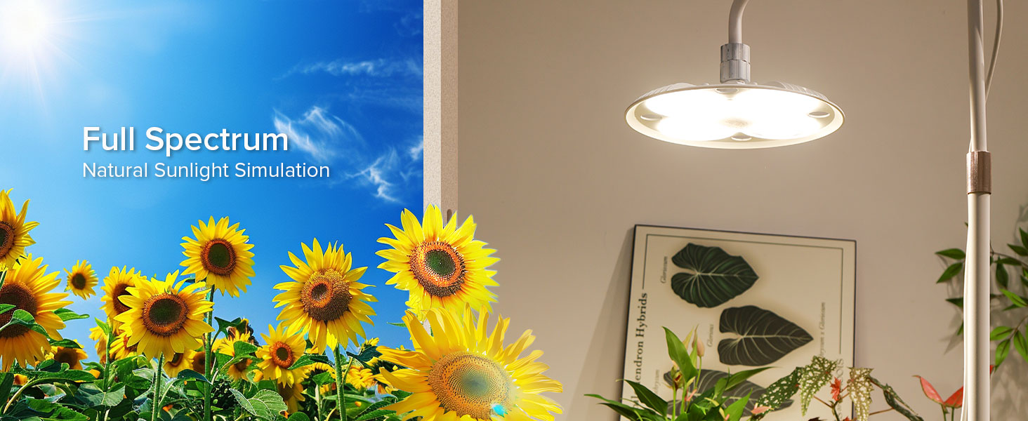 plant grow lights indoor