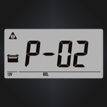 20 amp mppt