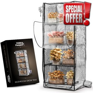 Mushroom Grow Tent