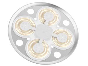 plant grow light