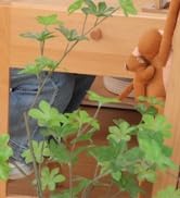 Swegrow Kids Growth Chairs