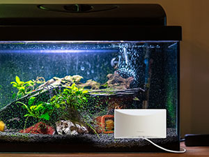 Monitor Pets Too
