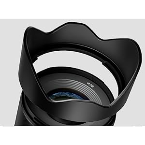 sigma 16mm 1.4 sony e mount