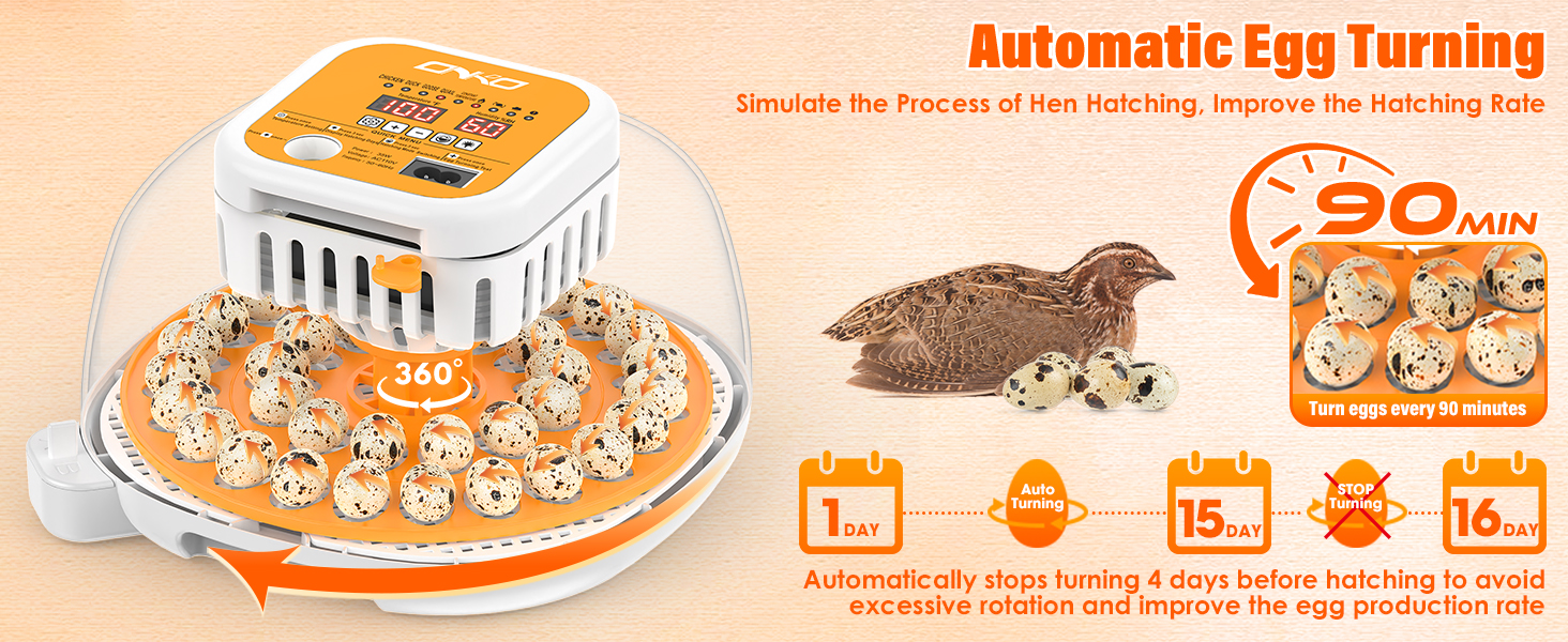 quail egg incubator