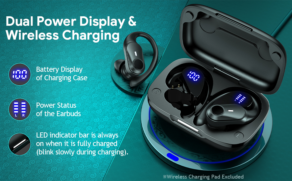 Noise Cancelling Earbuds