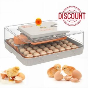 56 Egg Incubator