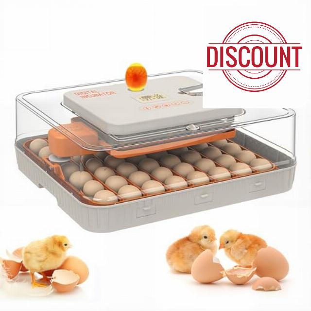 56 Egg Incubator