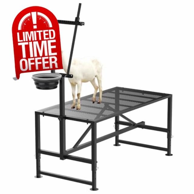 Goat Milking Stand with Feed Bin