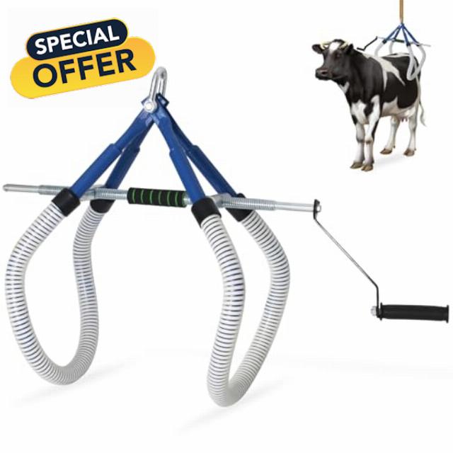 Cow Hip Lift