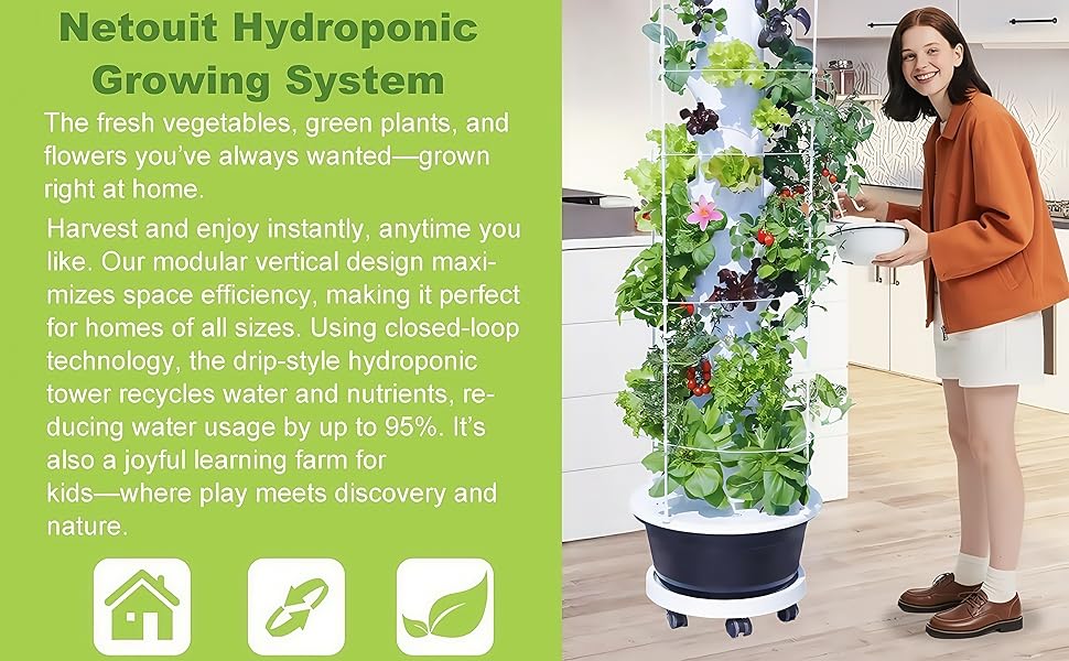 Create your own hydroponic vegetable garden