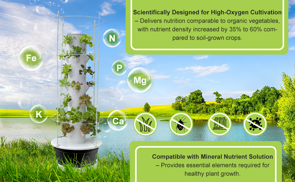 Create your own hydroponic vegetable garden