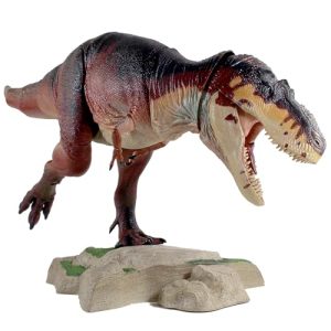 Display Base