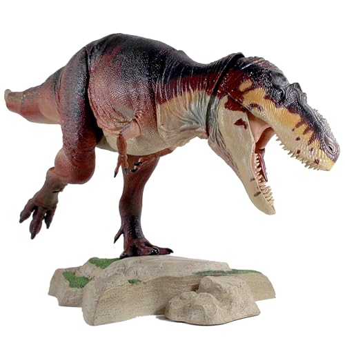 Display Base
